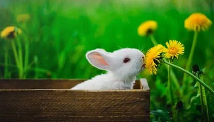 开云平台：开启云端协同的新纪元